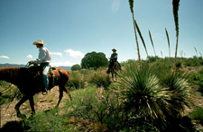 USA-New Mexico-Gila Wilderness Nature Expedition